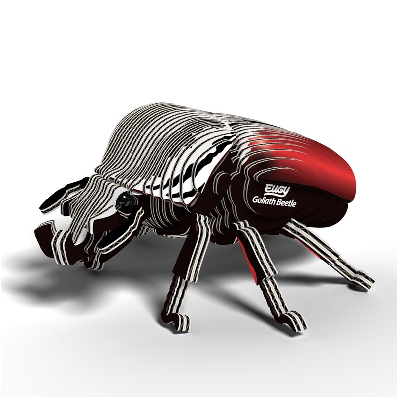 EUGY Escarabajo Goliath - Imagen 2