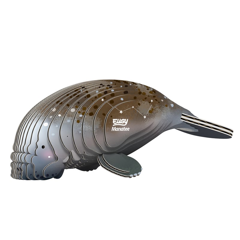 EUGY MANATÍ - Imagen 2