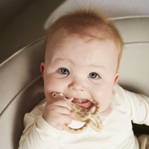 MORDEDOR MATCHSTICK MONKEY JIRAFA - Imagen 5