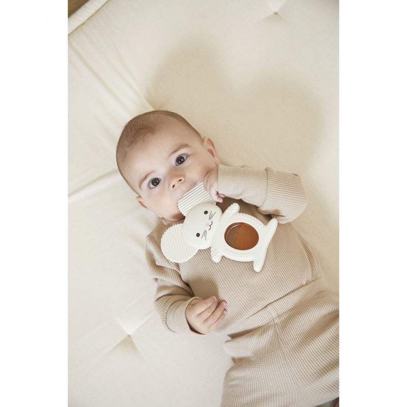 Dúo Dentición Ratón - Imagen 5