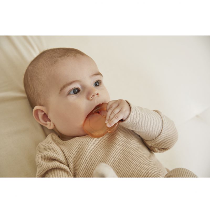 Dúo Dentición Ratón - Imagen 6